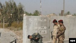 عکس تزئینی است.