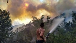 Jedinstveno Predsjedništvo, kanaderi iz Hrvatske ili kiša za gašenje požara u BiH