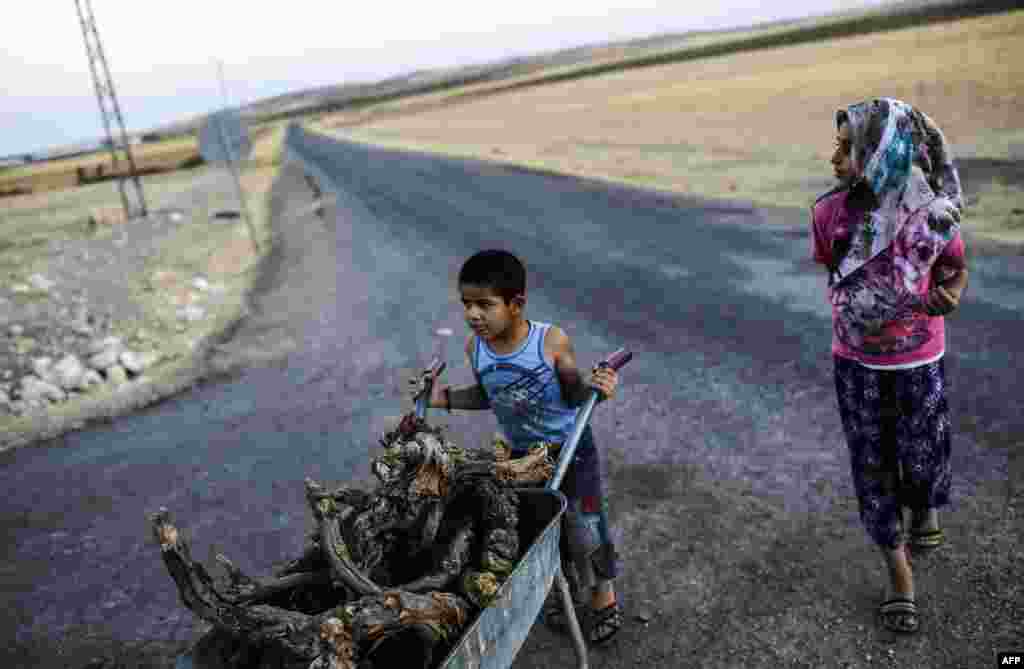 A young boy pushes a wheelbarrow filled with wood in the Turkish-Syrian border town of Karkamis. (AFP/Bulent Kilic)