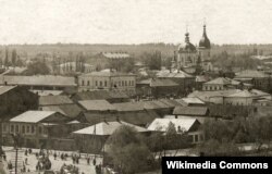 Стародубщина. Місто Новозибків за часів Української Держави, 1918 рік