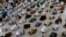 Muslims maintaining distance as they attend Friday Prayers in Karachi on April 24.