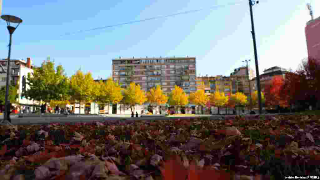 Gjethe të rëna nga drunjtë në qendër të Prishtinës.&nbsp;