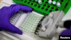 Shkencëtarët përgatisin mostra të proteinave për analiza në një laborator për kërkime për kancerin.