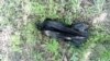 Jedna od otrovanih ptica u Bačkoj Topoli
