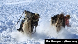 Кочевники во Внутренней Монголии