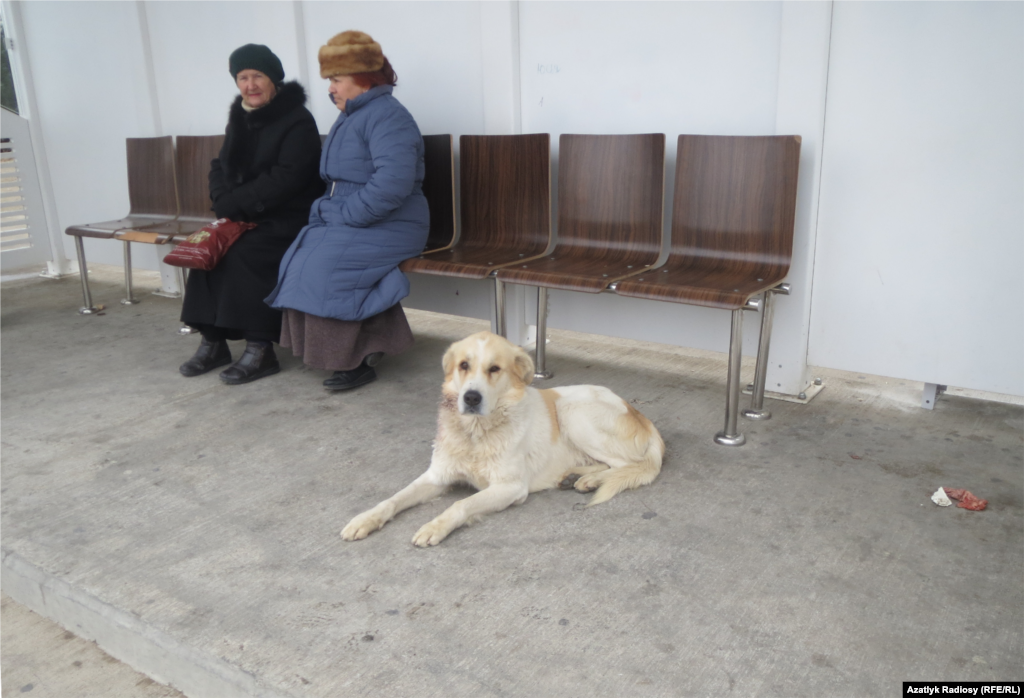 Aşgabadyň awtobus duralgalarynyň birinde jemgyýetçilik transport ulagynyň gelmegine garaşýan zenanlar