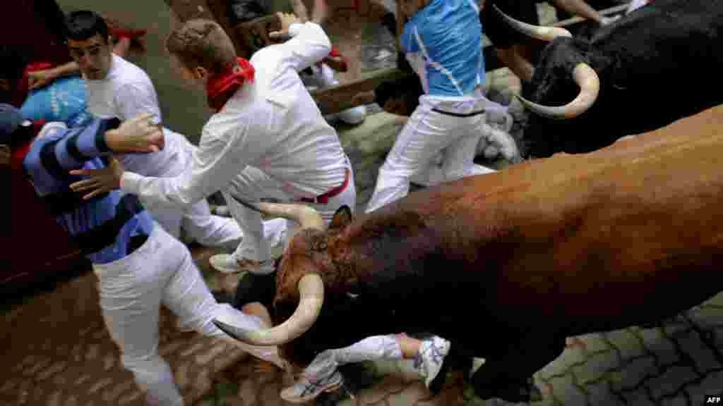 A runner falls in front of Cebada Gago bulls during the third run of the bulls at the San Fermin festival in the northern Spanish city of Pamplona on July 9. (AFP/Pedro Armestre)