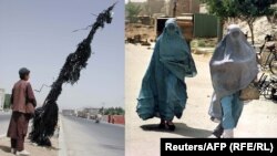 افغانستان تحت حاکمیت طالبان