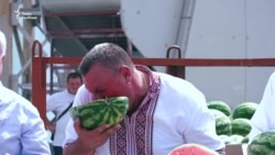 Конец путешествия. Баржа с арбузами приплыла в Киевскую область (видео)