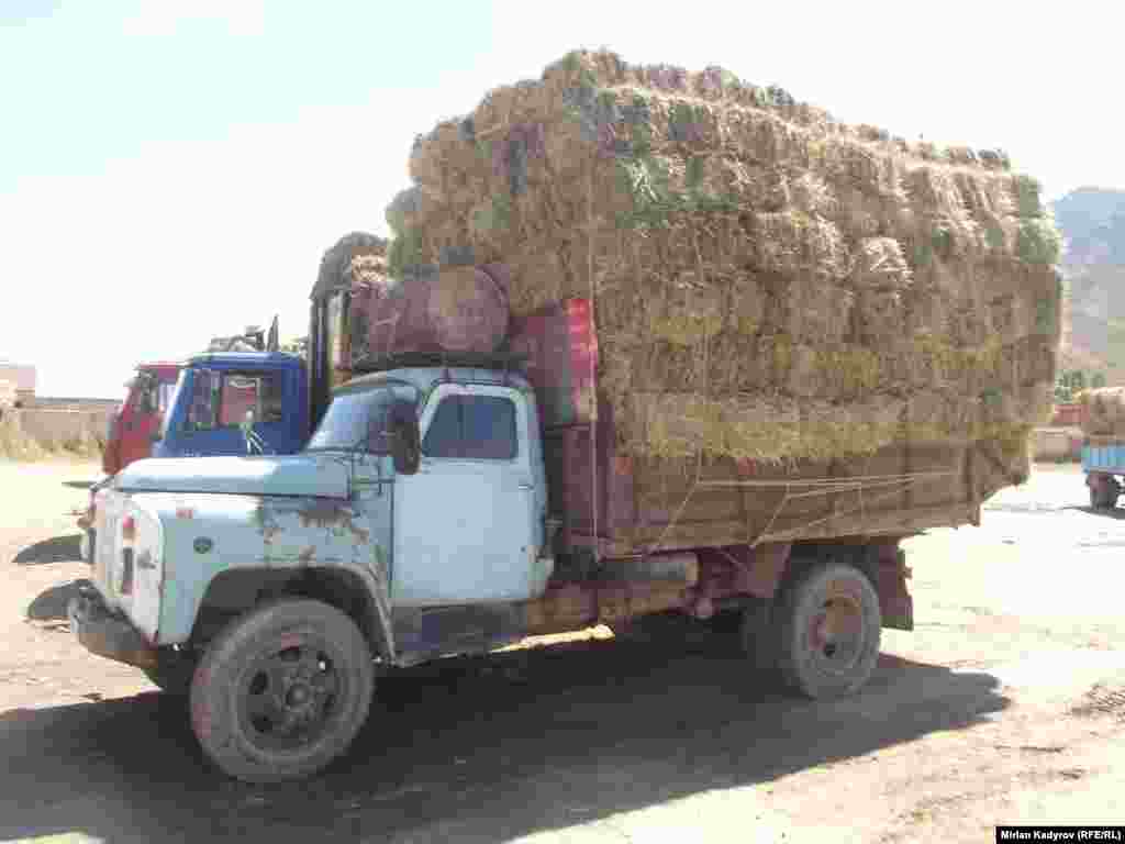 Ал эми 1 боо чөптүн баасы талаадан 60-70 сом болсо, Нарынга жүктөп келгендер 100 сомдон сатышууда