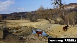 Пчелиное крым как добраться на машине. Смотреть фото Пчелиное крым как добраться на машине. Смотреть картинку Пчелиное крым как добраться на машине. Картинка про Пчелиное крым как добраться на машине. Фото Пчелиное крым как добраться на машине