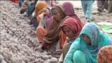 pakistan farmer grab