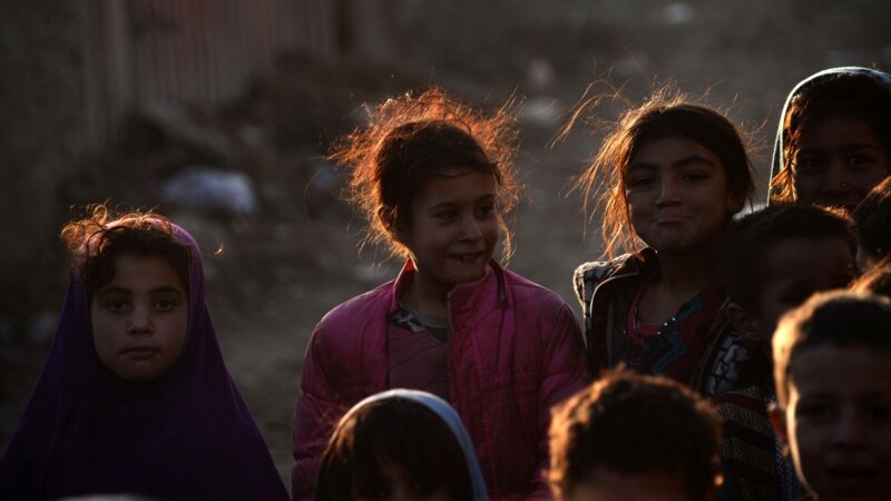 م.م.: از آغاز سال روان میلادی بیش از ۲۰ هزار افغان بیجا شده‎اند