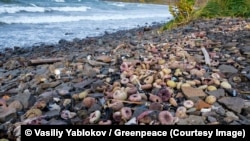 7 октября активисты Greenpeace исследовали две бухты: Большая Лагерная и Шлюпочная