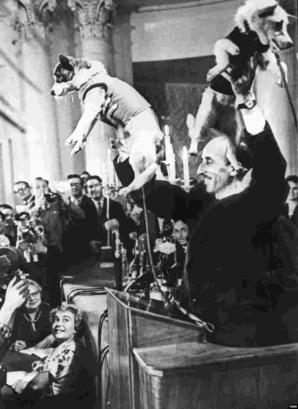 Three years after Laika&#39;s sacrifice the Soviets successfully sent two dogs, named Belka and Strelka, into orbit accompanied by a small menagerie of rats, mice, and a rabbit. All survived the return to Earth and a year later Yury Gagarin became the first man in space.&nbsp;