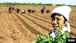 Tajik migrant workers in Russia's Volgograd region