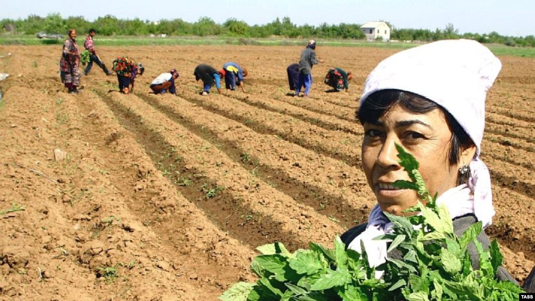 Tajik migrant workers in Russia's Volgograd region