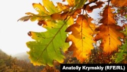 Українські та західні синоптики прогнозують поступове припинення опадів і перехід від погоди, більш властивої циклону, до комфортнішої й теплішої