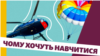 Кандидати у президенти виборчої кампанії 2019 року відповіли на запитання Радіо Свобода для проекту «Президент UA»