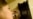 Ток үчүн төлөбөгөн аткаминерлер ким?