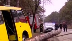 წყნეთში ყვითელი ავტობუსი ხეს შეეჯახა