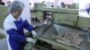 Armenia - Workers at a confectionery factory in Yerevan, 5June2014.