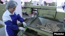 Armenia - Workers at a confectionery factory in Yerevan, 5June2014.