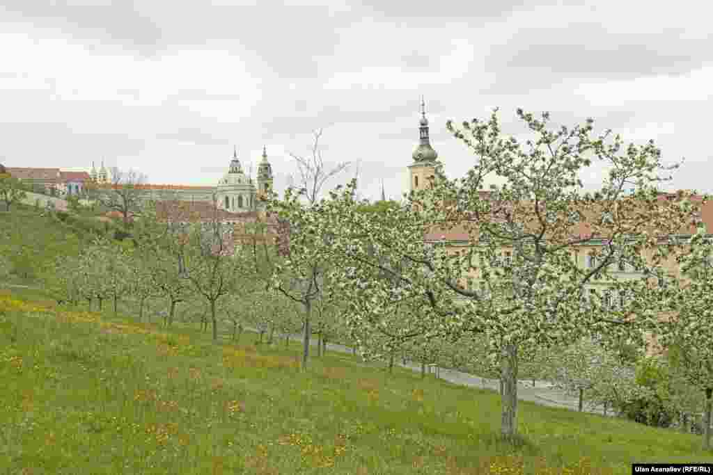 Prague - Spring - Quarantine -May 2020