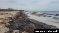 Бакальськая коса, Крим, січень 2020 рік