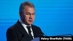 Russian Defense Minister Sergei Shoigu (file photo)