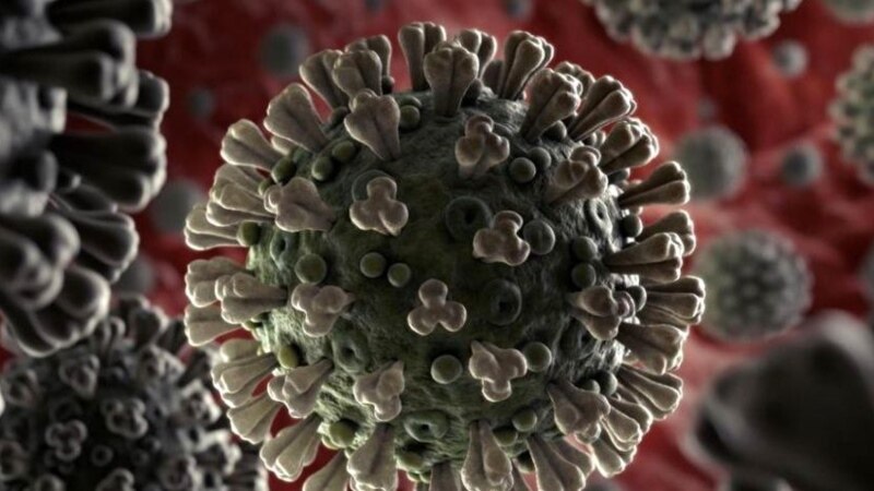 Прв случај на коронавирус во субсахарска Африка