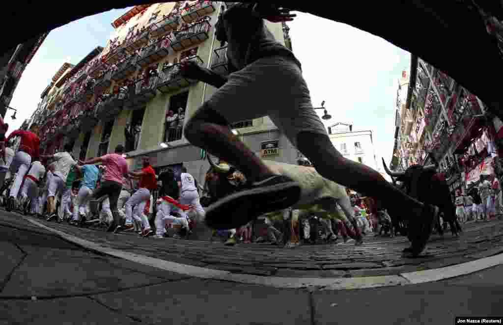 Revelers sprint in front of running bulls and steers during the San Fermin festival in Pamplona, Spain, on July 8. (Reuters/Jon Nazca)