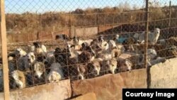 آرشیف، عکس جنبه تزئینی دارد