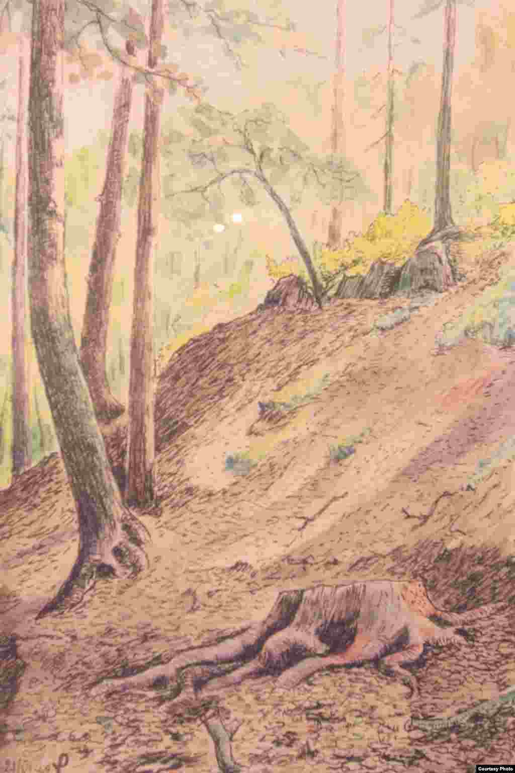 Шагыйрь Ренат Харис рәсемнәре күргәзмәсе