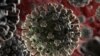Тест-системи на коронавірус вітчизняні, а не російські – представник виробника