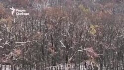 "Дроны спасают жизни" 