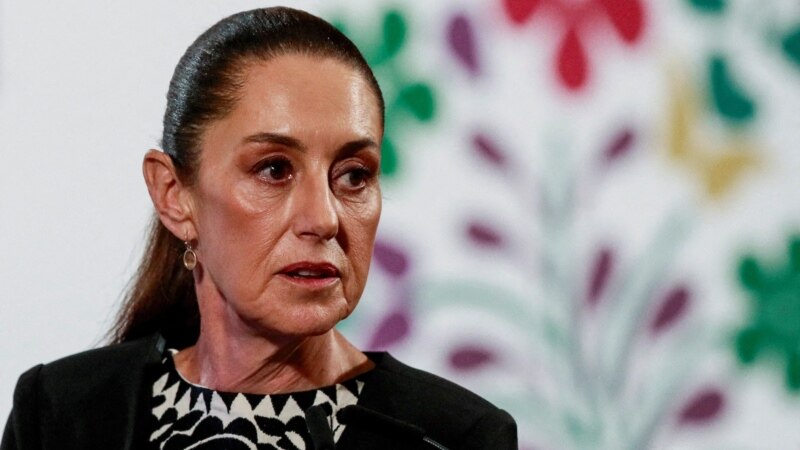 მექსიკის პრეზიდენტმა პირობა დადო, რომ გამოიძიებენ ჯარისკაცების მიერ 6 მშვიდობიანი მოქალაქის მკვლელობის საქმეს