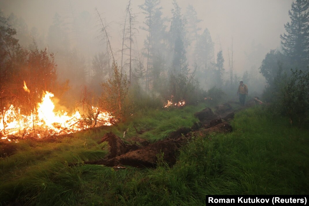 Soul of Siberia Wild Siberia fired Soul of Siberia Wild Siberia