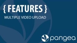 Multiple Video Upload guide