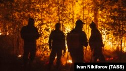 Лесной пожар в Якутии, август 2021 года (архивное фото)