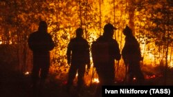 Лесной пожар в Якутии, 2021 год 