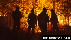 Лесные пожары в Якутии (Архивное фото)