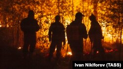 Лесные пожары в Якутии (архивное фото)