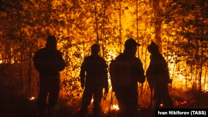 Реферат: Лесные пожары