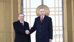 Президент Шавкат Мирзиёевди тосуп алуу салтанаты, Анкара, 19-февраль 2020-жыл.