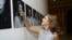 Snežana Bogdanović potpisuje svoju fotografiju na 25. Sarajevo Film Festivalu