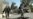 U.S. Weapons Given To Iraqi Forces Reported Missing