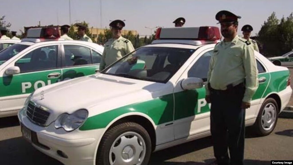عکس آرشیویست