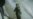 UKRAINE --- Butcher Of Bucha: Ballistics Tie Russian Sniper To Killings Of Ukrainian Civilians