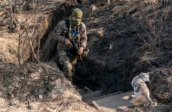 Украинский военнослужащий на линии разграничения в Золотом, Луганская область, 2 ноября.